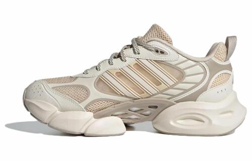 Женские кроссовки adidas VENTO 3.0 CLIMACOOL IF6716