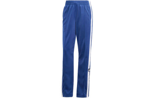 Женские брюки adidas ADICOLOR ADIBREAK PANTS IP0619