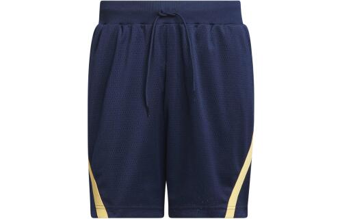 Мужские шорты adidas SELECT WORLD WIDE HOOPS SHORTS IT4732