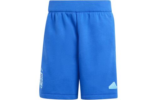 Мужские шорты adidas ARGENTINA TRAVEL SHORTS