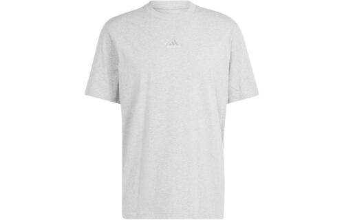 Мужская футболка adidas ALL SZN EMBROIDERY GRAPHIC TEE серая
