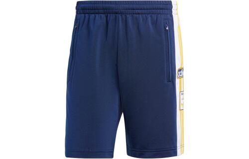 Мужские шорты adidas ADICOLOR ADIBREAK SHORTS IU2372