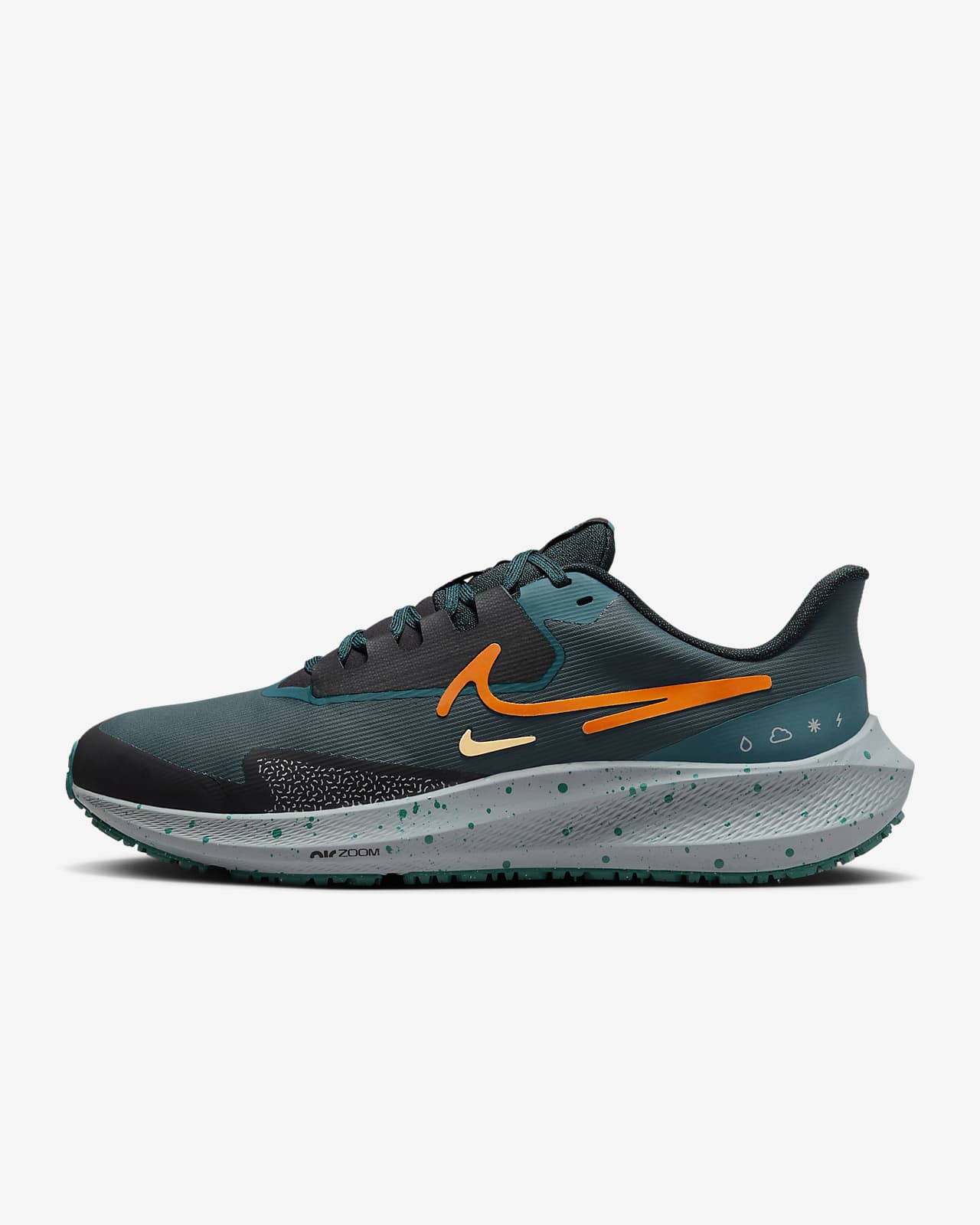 Мужские кроссовки Nike Pegasus 39 Shield черные