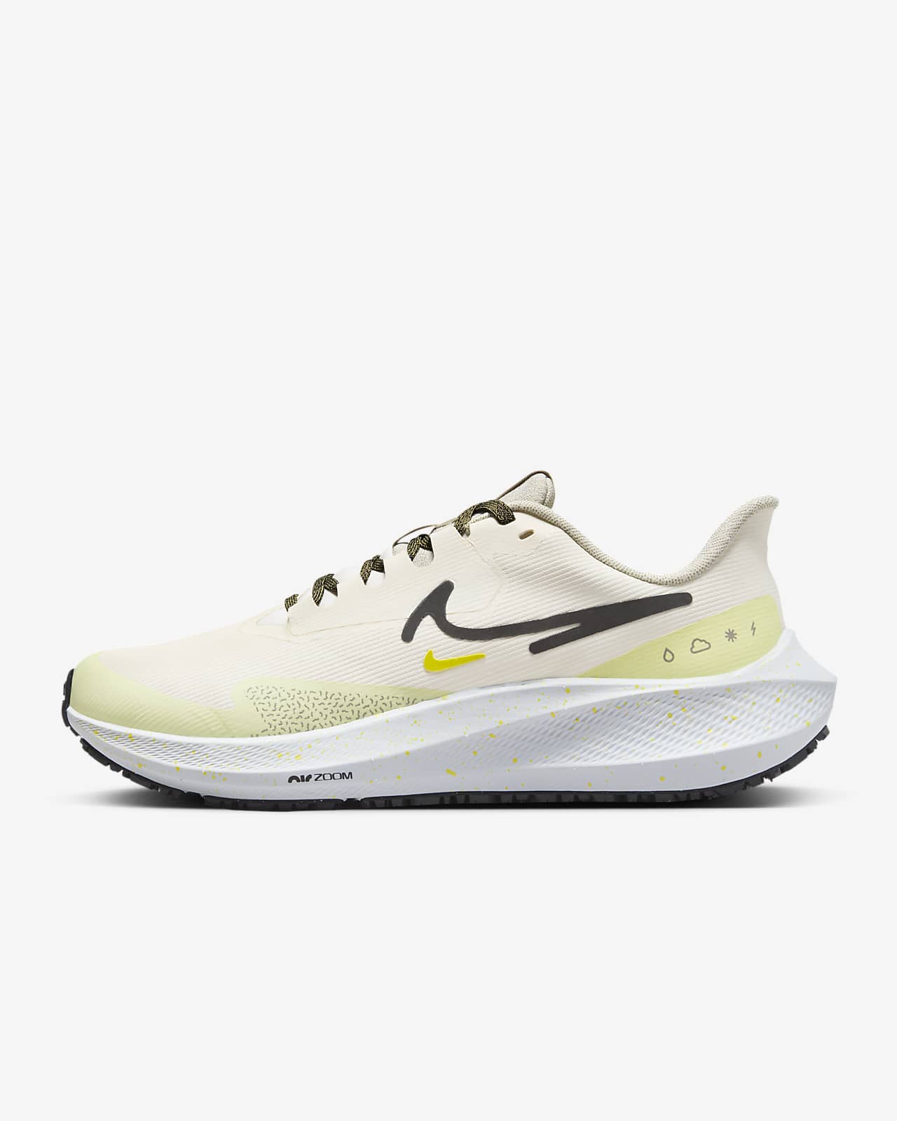 Женские кроссовки Nike Pegasus 39 Shield