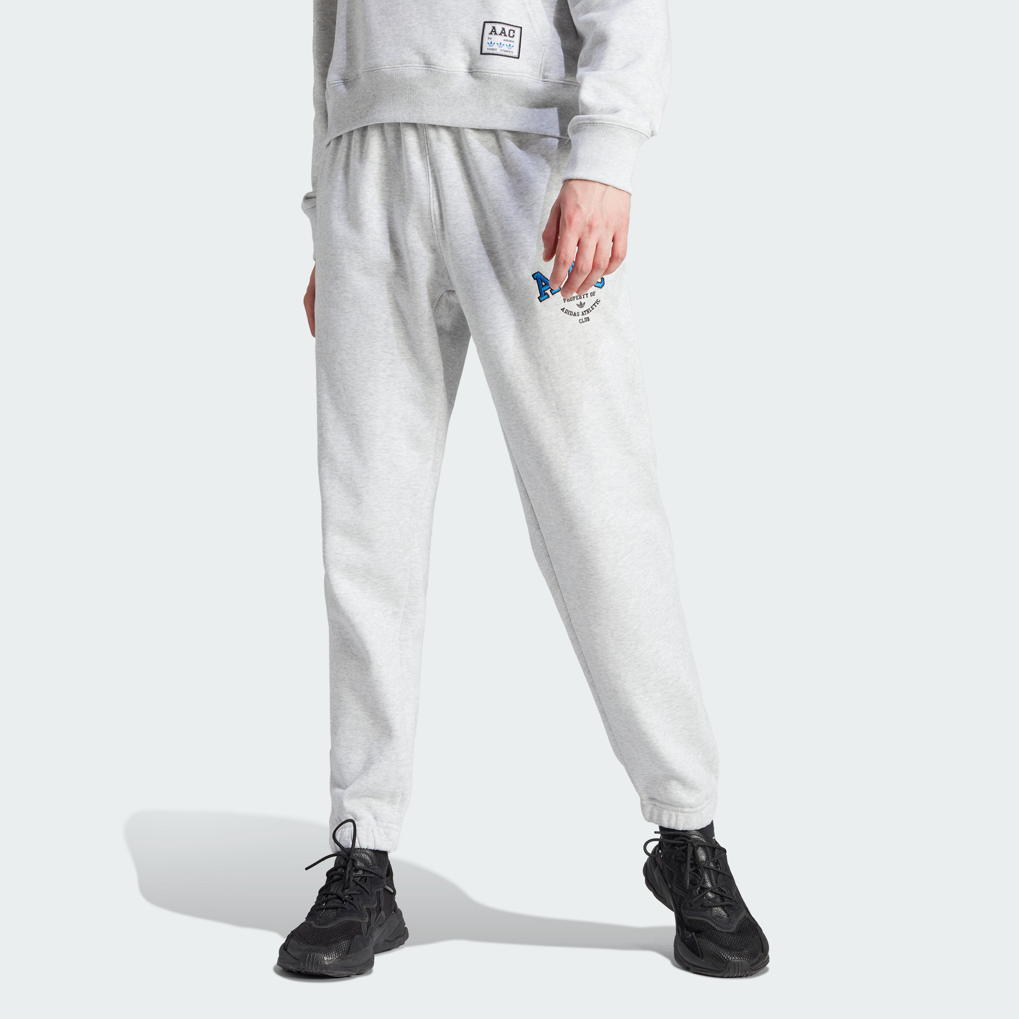 Мужские брюки adidas AAC SWEAT PANTS серые