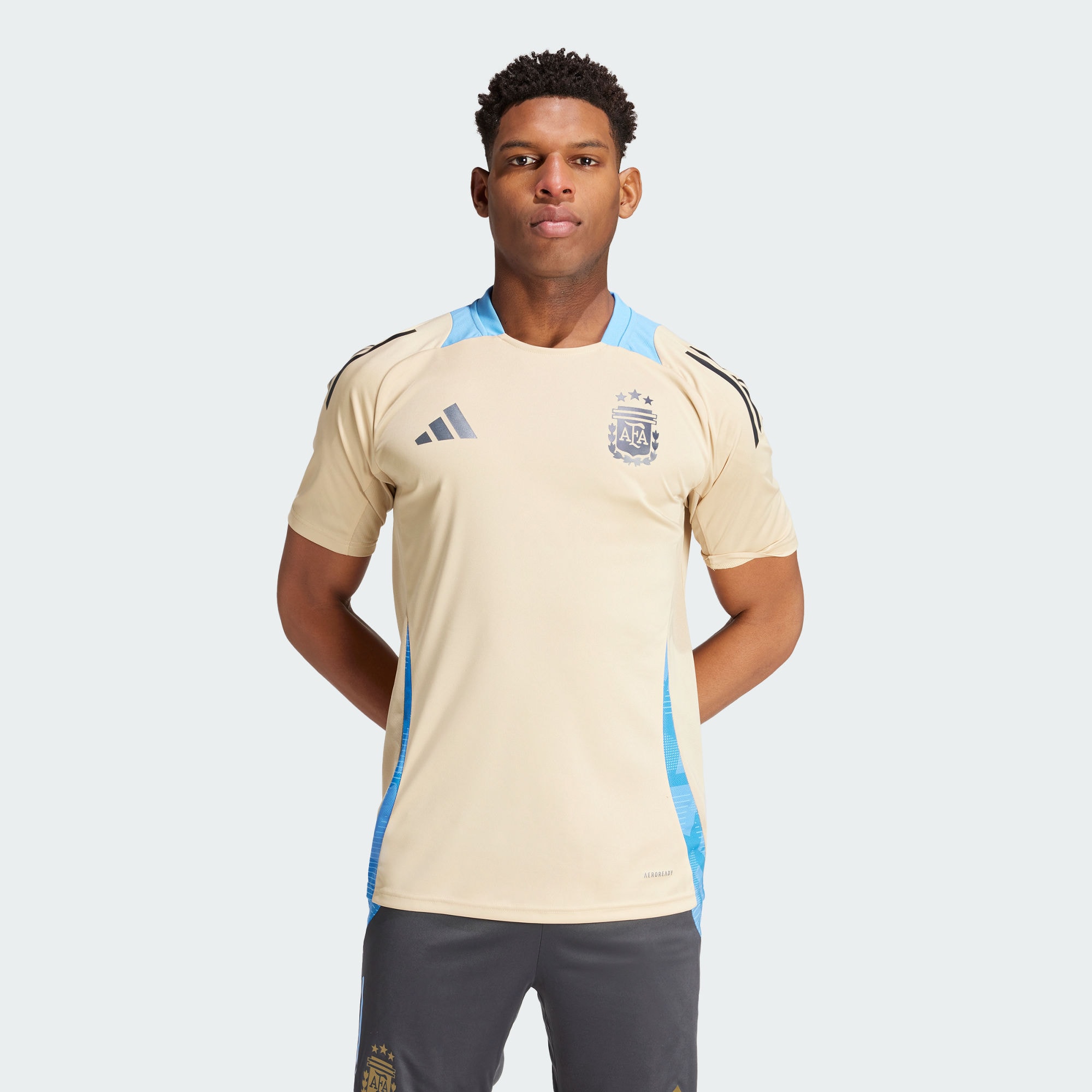 Мужская футболка adidas ARGENTINA TIRO 24 COMPETITION JERSEY IQ0816