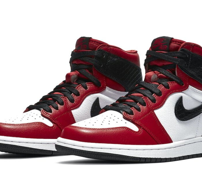 snake chicago jordan 1