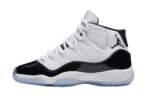 jordan 11 concords high