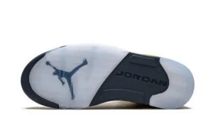 Nike air jordan top 5 michigan