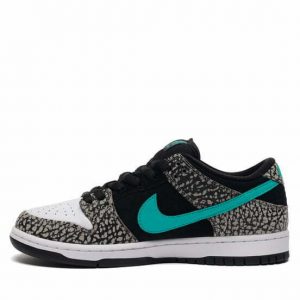 Nike hotsell dunk 6