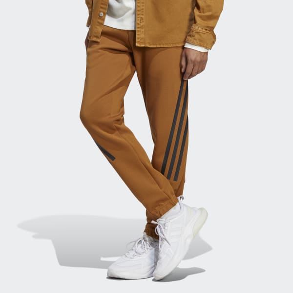 Мужские брюки Future Icons 3-Stripes Pants ( Коричневые )