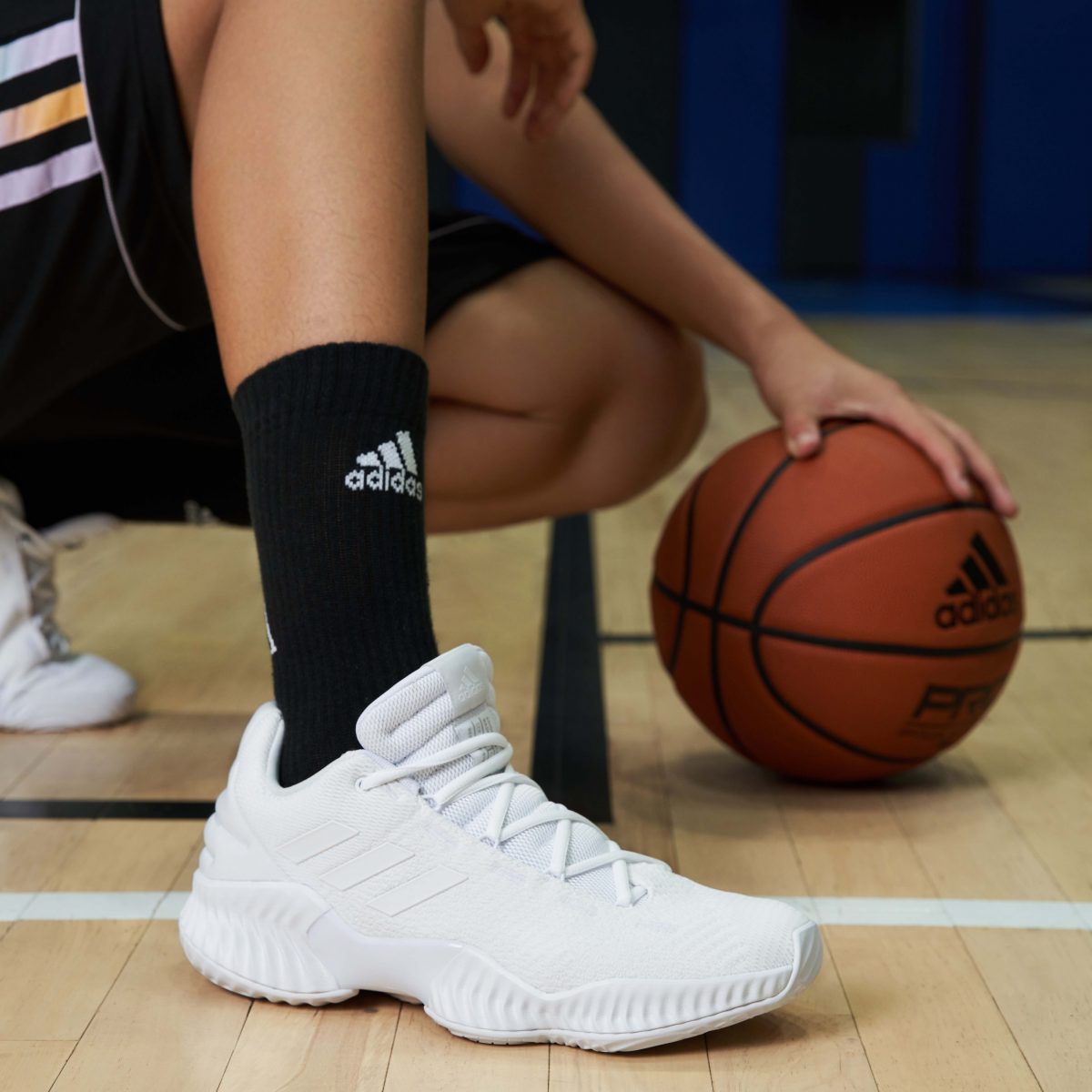 Adidas performance pro store bounce 2018 low