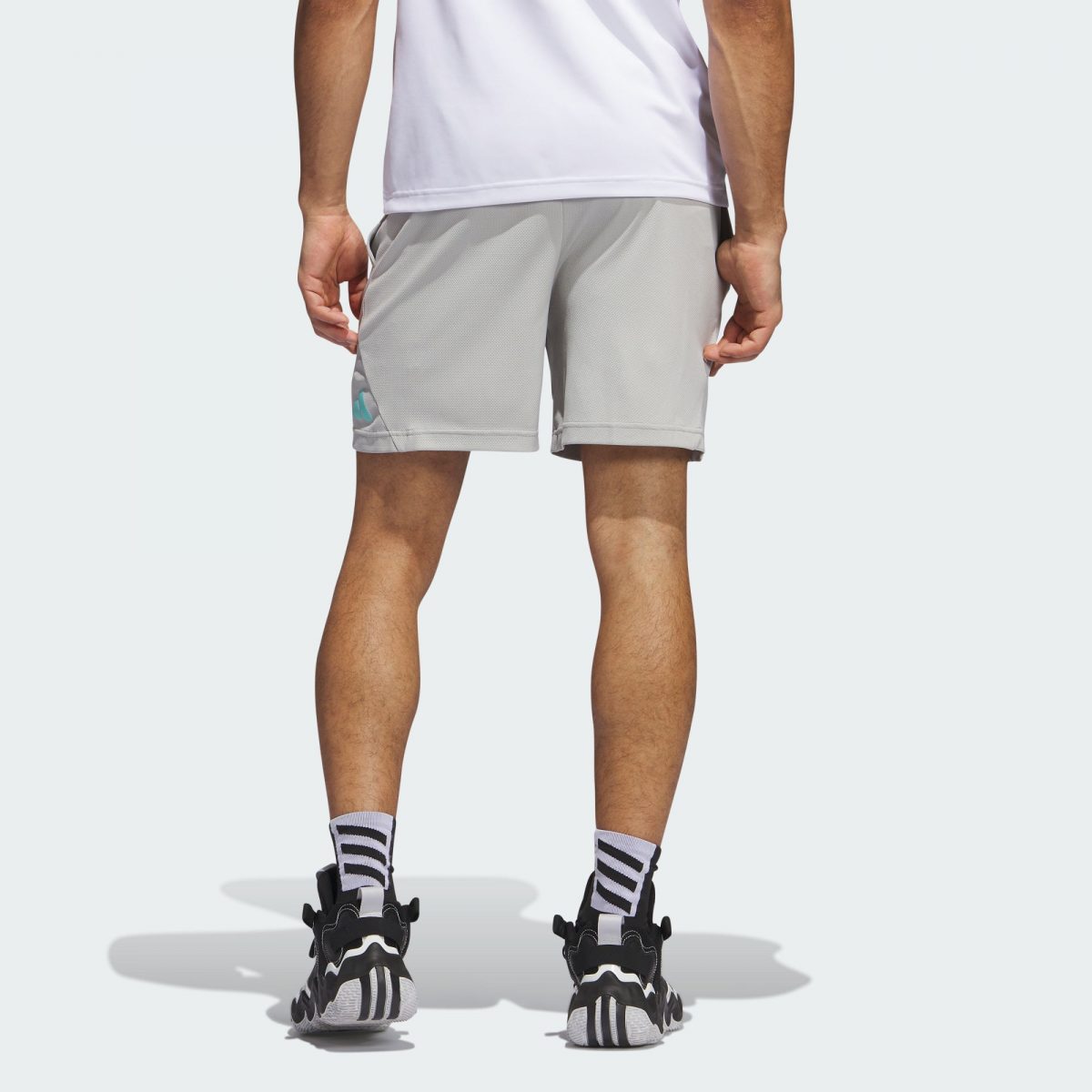 Мужские шорты adidas BASKETBALL BADGE OF SHORTS фотография