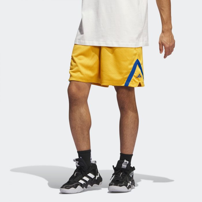 Мужские шорты adidas SELECT SHORTS