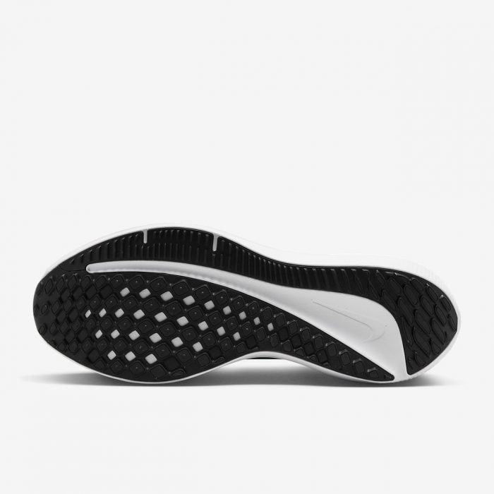 Мужские кроссовки Nike Winflo 10