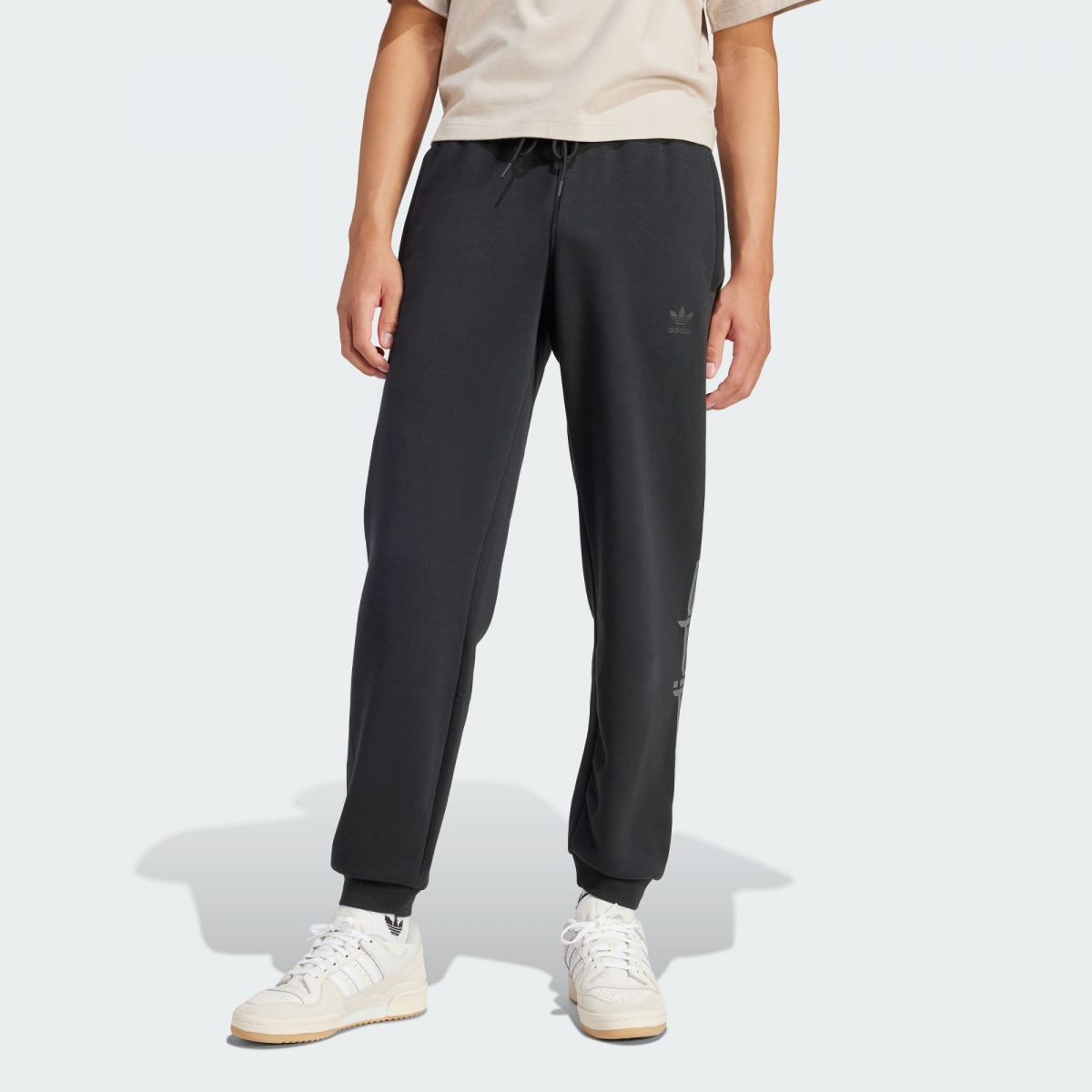 Мужские брюки adidas FUTURE ROAD GRAPHIC PANTS фото