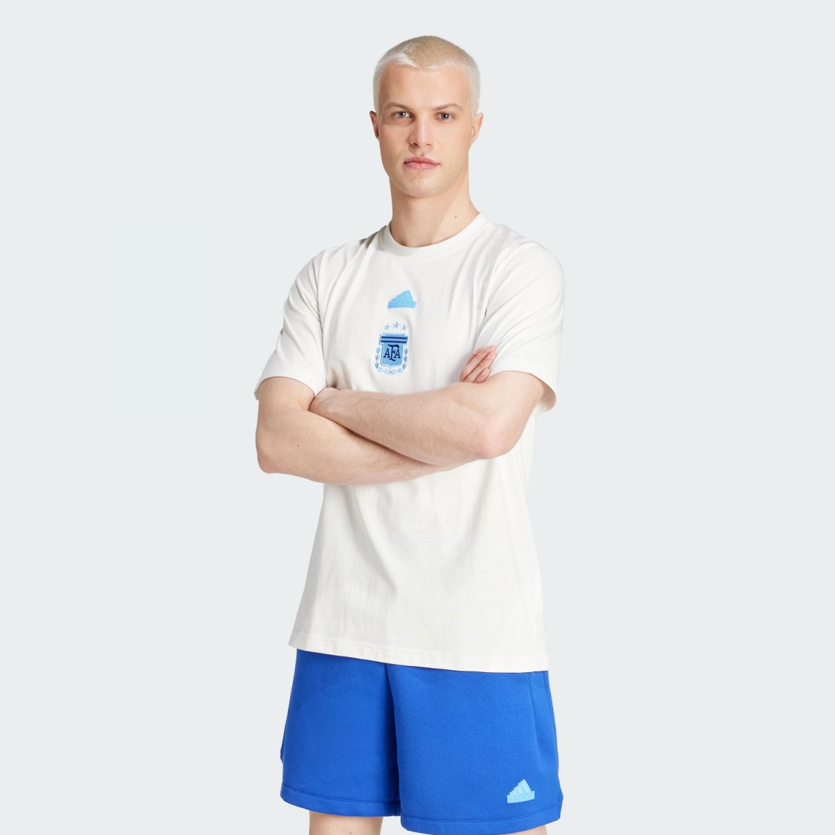 Мужская футболка adidas ARGENTINA TRAVEL T-SHIRT фото