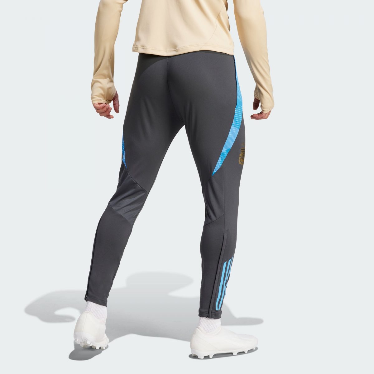 Мужские брюки adidas ARGENTINA TIRO 24 COMPETITION PANTS фотография