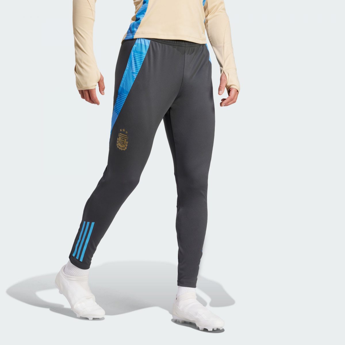 Мужские брюки adidas ARGENTINA TIRO 24 COMPETITION PANTS фото