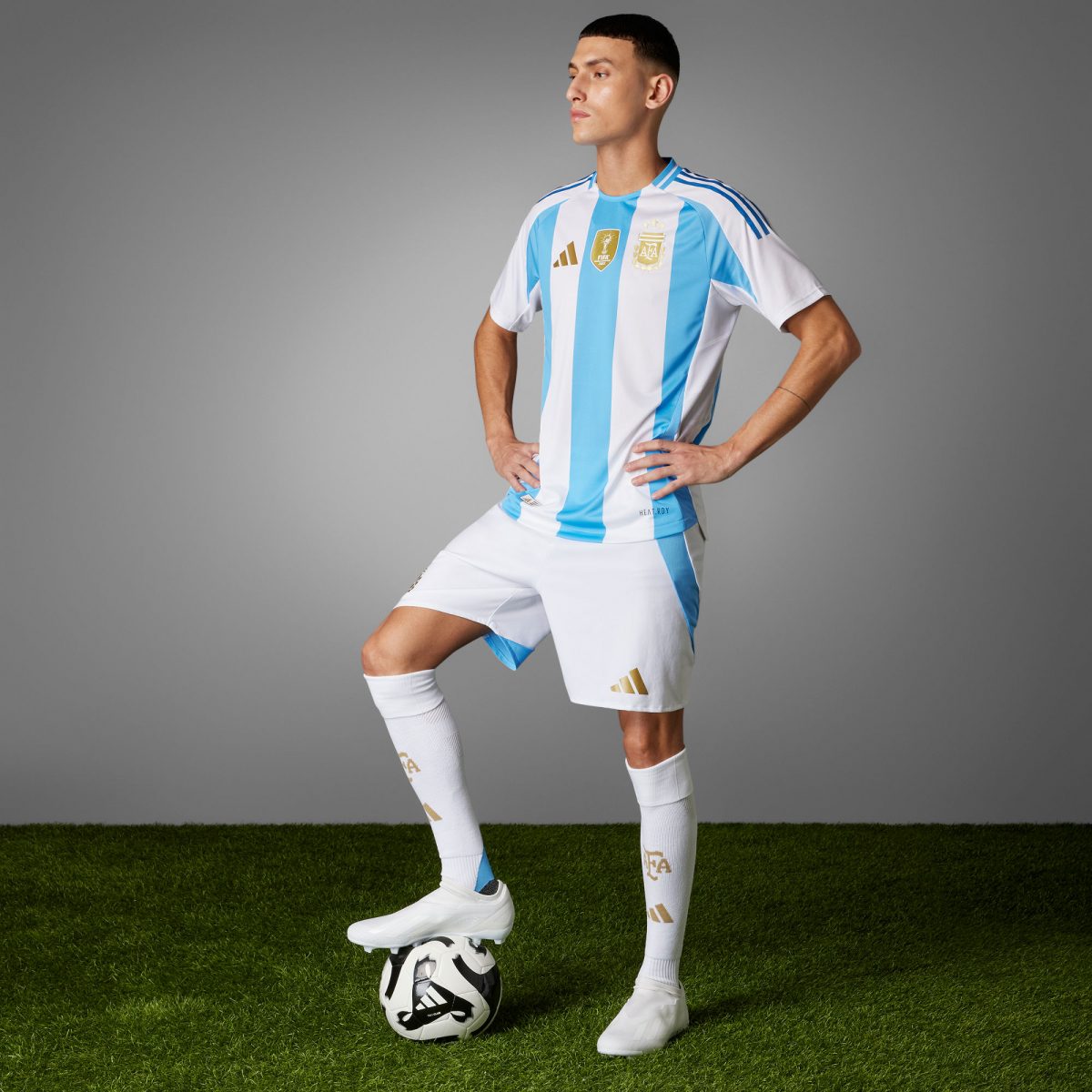 Мужская футболка adidas ARGENTINA 2024 HOME AUTHENTIC JERSEY фотография