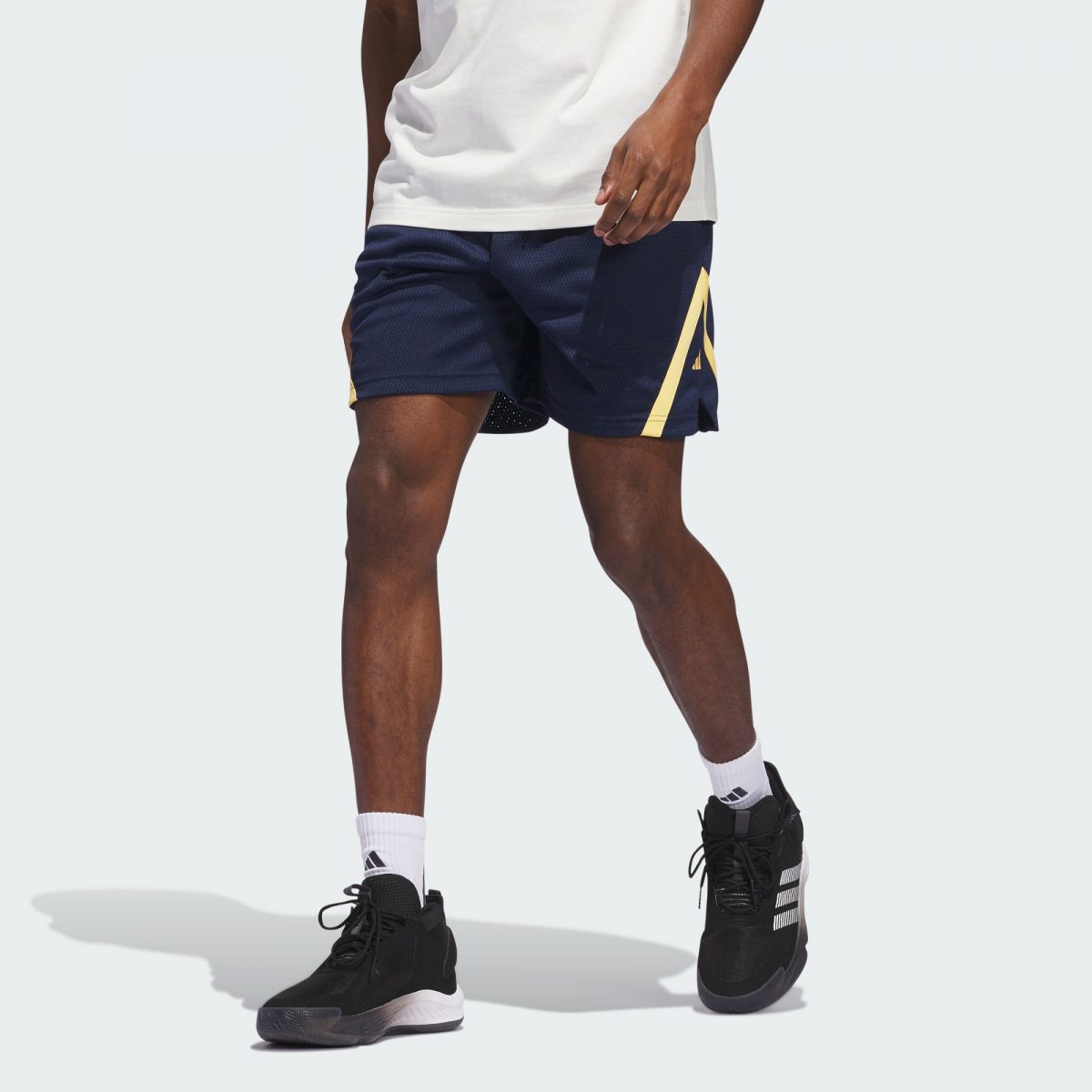 Мужские шорты adidas SELECT WORLD WIDE HOOPS SHORTS фото
