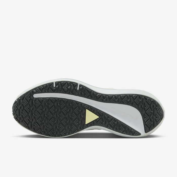 Женские кроссовки Nike Air Winflo Shield