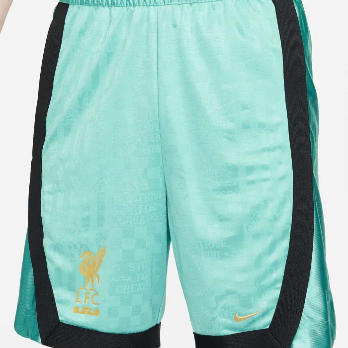 Мужские шорты nike LeBron x Liverpool FC