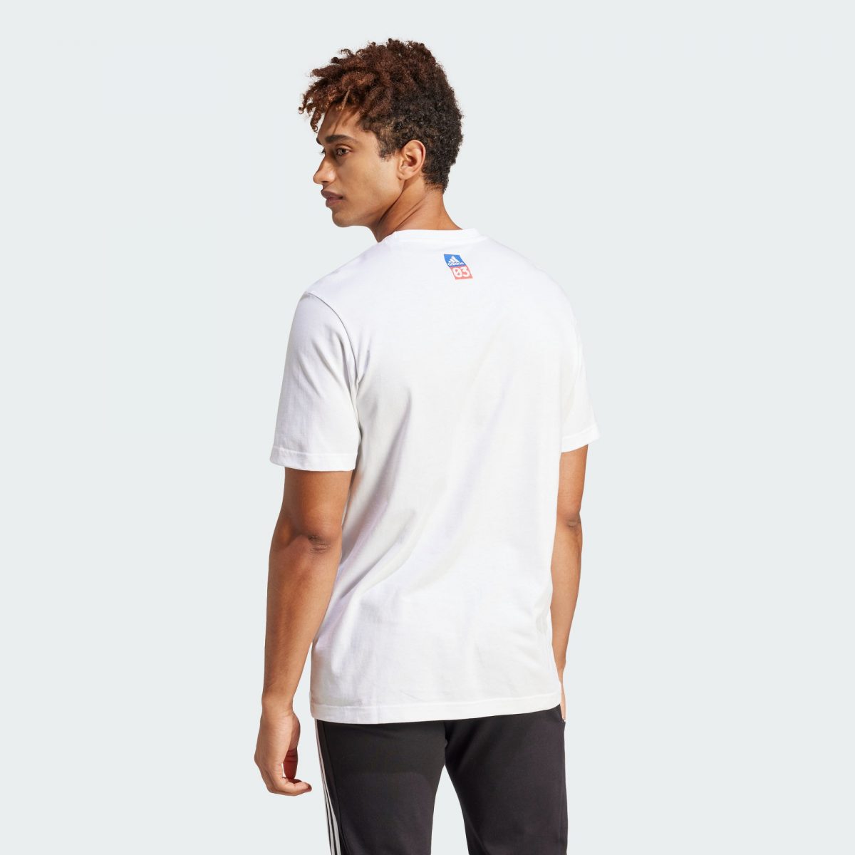 Мужская футболка adidas AMERICANA GRAPHIC T-SHIRT белая фотография