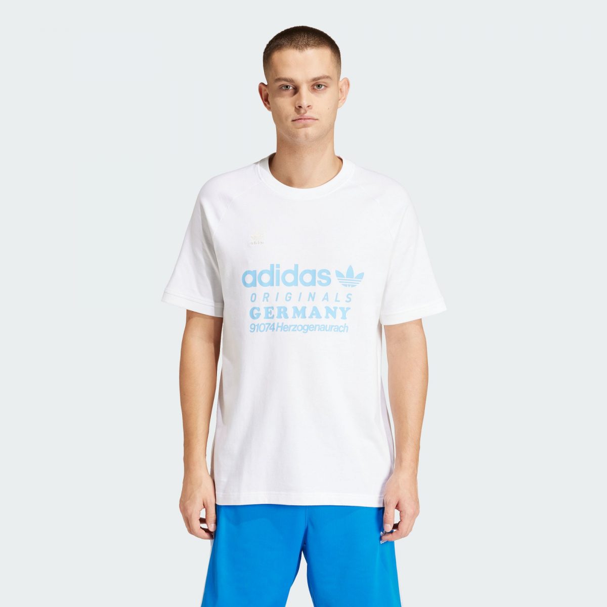 Мужская футболка adidas RETRO GRAPHIC T-SHIRT белая фото