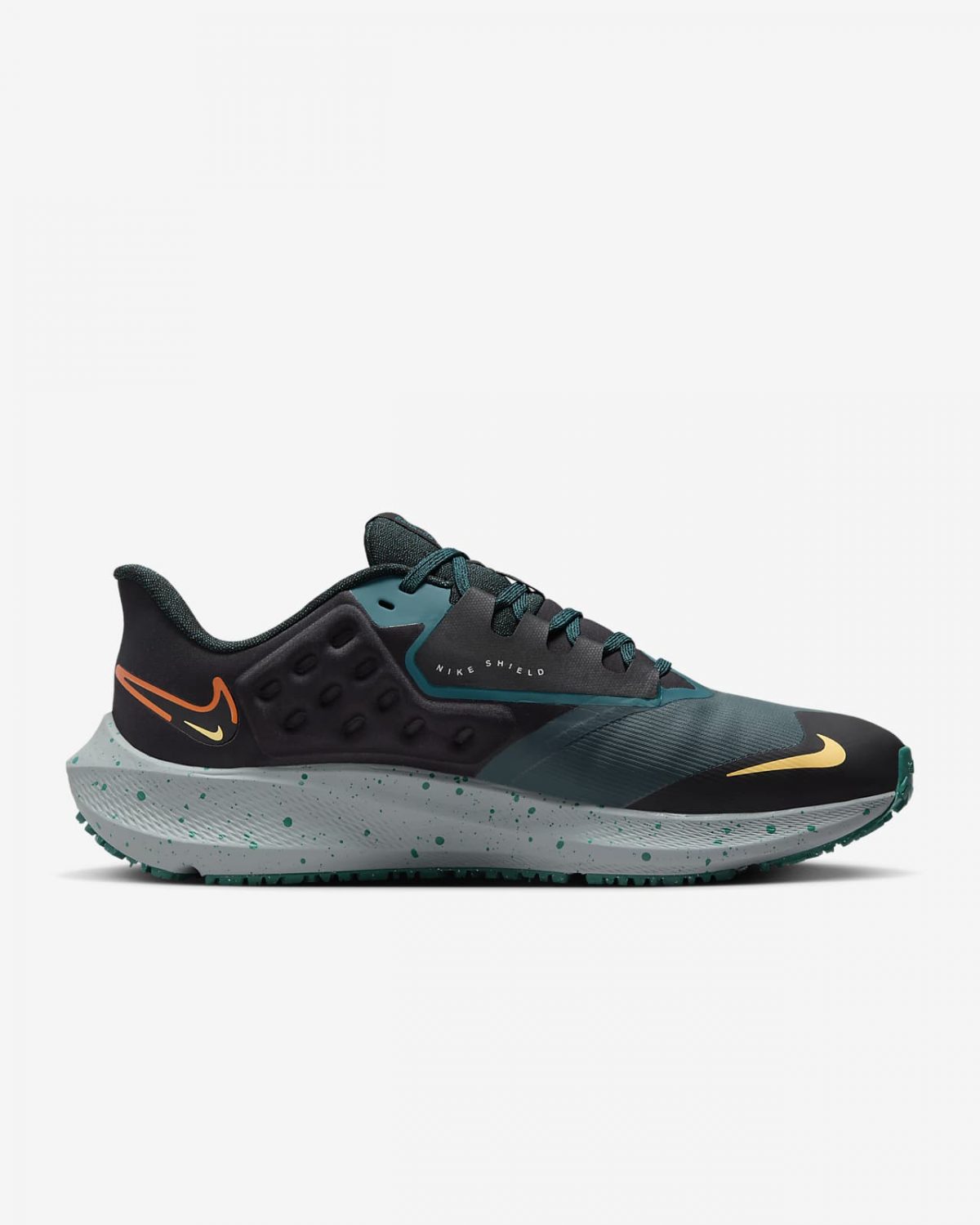 Мужские кроссовки Nike Pegasus 39 Shield