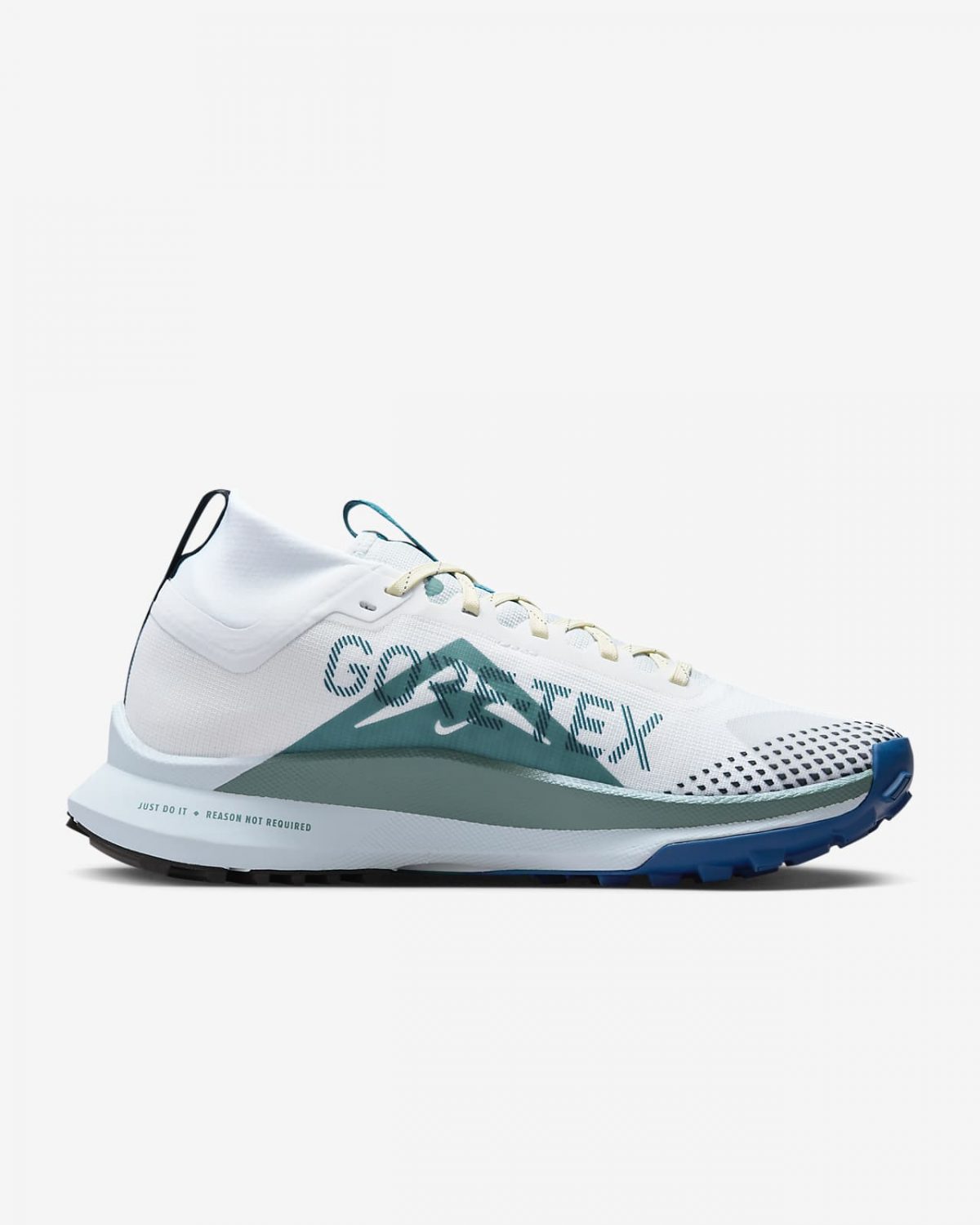 Женские кроссовки Nike Pegasus Trail 4 GORE-TEX