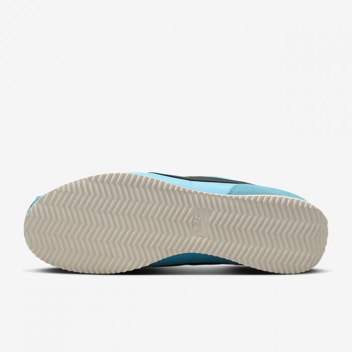 Мужские кроссовки Nike Cortez Textile HF0263-401