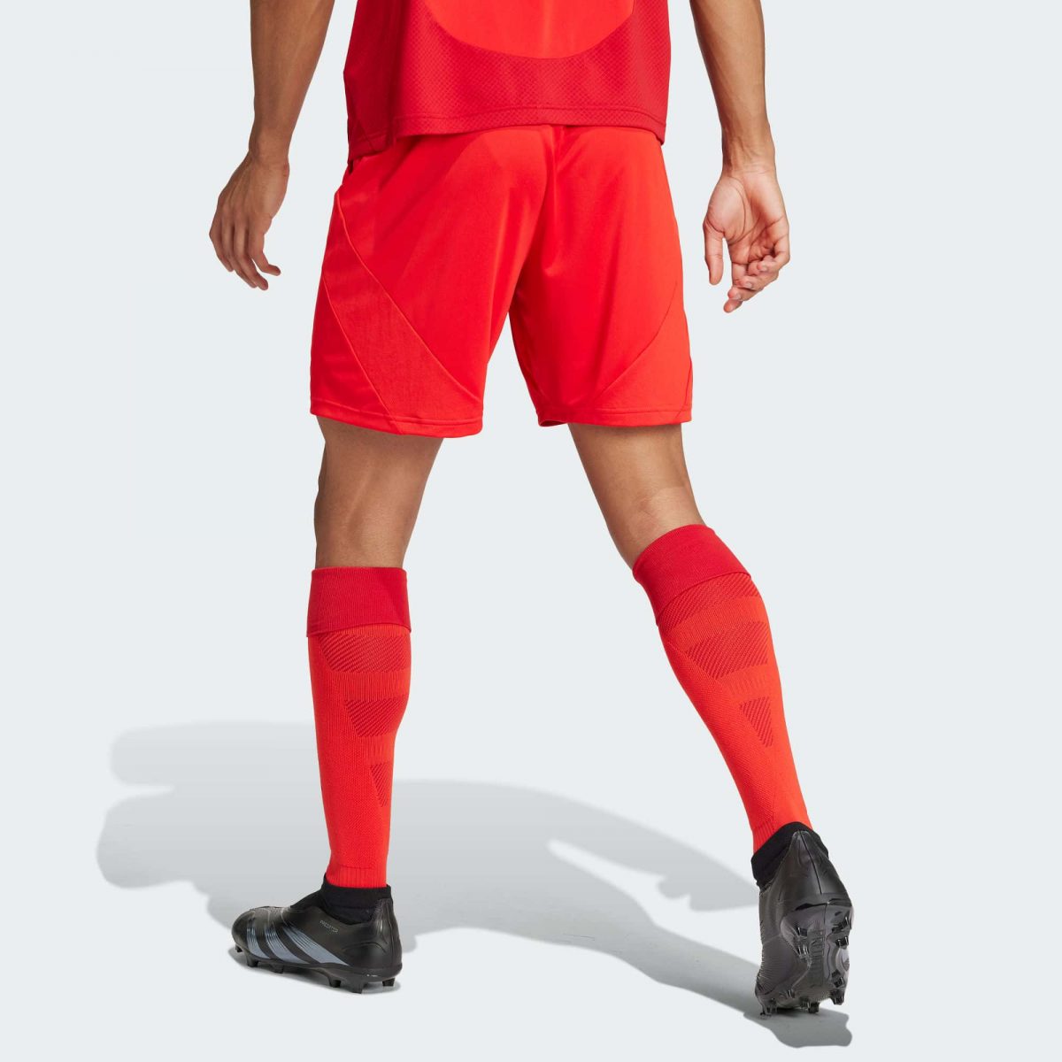 Мужские шорты adidas FC BAYERN 24/25 HOME SHORTS фотография